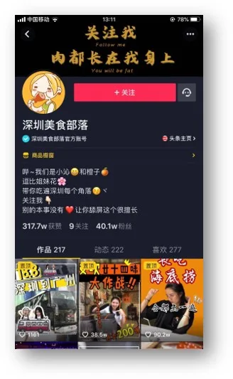抖音帳號影片示例